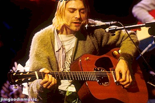 Kurt Cobain ve Martin D-18E