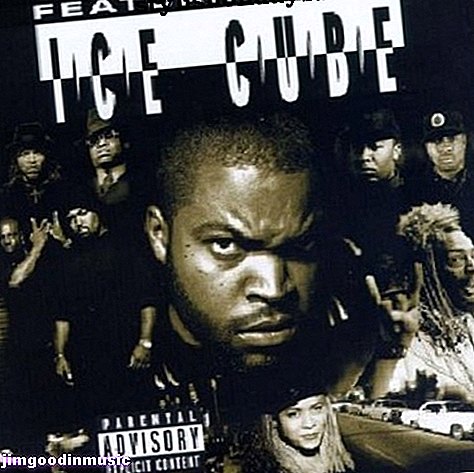 Ice Cube Exposed