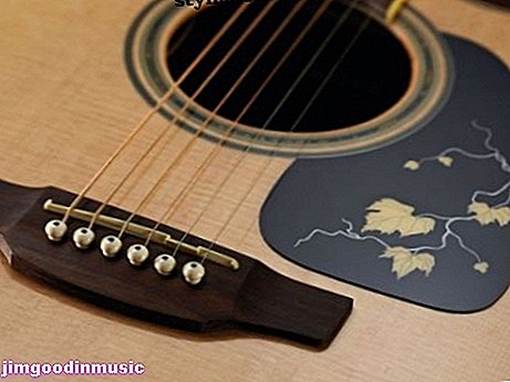 Cosa rende le chitarre Takamine 40 ° e 50 ° anniversario così grandi?