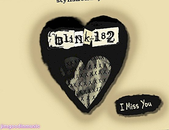 Blink-182's Pogrešam te pomene pesmi