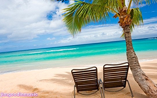 10 tropických písní pro případ, že si nemůžete dovolit karibskou dovolenou