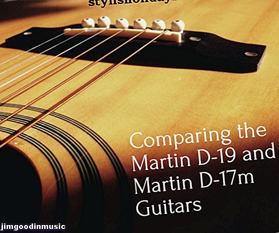 Preskúmanie gitary Rare Martin D-19 a Martin D-17m