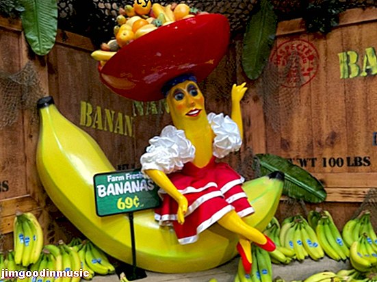 バナナ共和国についての10の歌