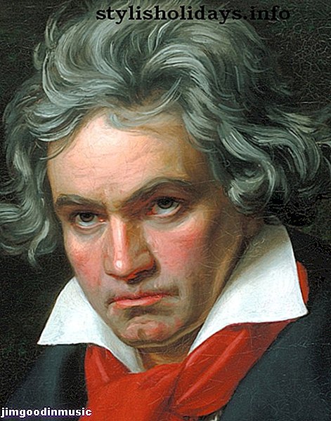 divertisment - Al cincilea Beethoven - îl cunoști cu adevărat?