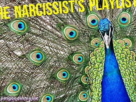 zábava - Seznam skladeb Narcisse: 77 písní o arogance a self-love