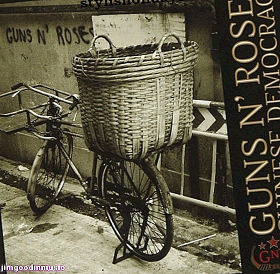 Guns N 'Roses Kiinalainen demokratia: Aliarvioitu Axl Rose -sooloalbumi
