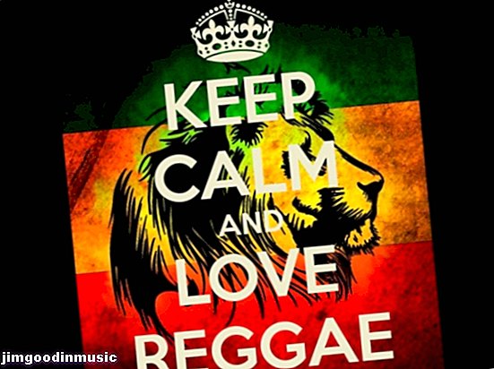Evoluce amerických reggae