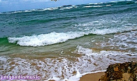 विभिन्न संगीत शैलियों में पानी के बारे में 5 रचनाएँ
