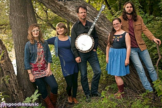Une entrevue avec le Canadian Bluegrass Band, Hay Fever