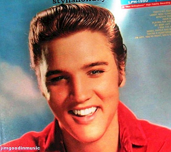 Elvis Presley, mož za sliko