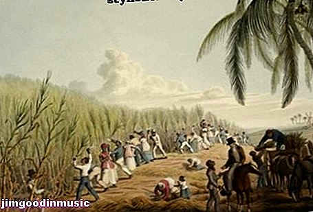 Dějiny karibské hudby Calypso