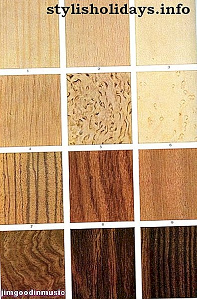 Guitar Tonewoods: A Guide for Electric, Acoustic and Bass Guitar